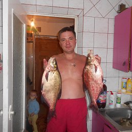 ���� �������, ��������, 55 ��� - ��������� 2 ������� 2015