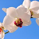 ���� ����, ���������� - ��������� 24 ������� 2014 � ������ ������ ��������