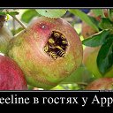 ���� ���������� ��������, �������, 50 ��� - ��������� 22 ������� 2015 � ������ ���� ����������