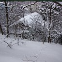 ���� ��������, ����, 40 ��� - ��������� 29 ������� 2014 � ������ ���� ����������