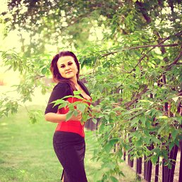 ����, 34 ����, ������