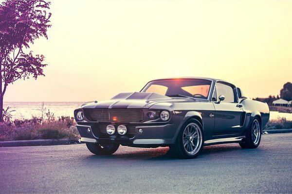 Shelby GT500 - 8