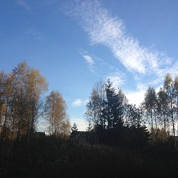 ���� ������, ������, 35 ��� - ��������� 12 ������ 2015