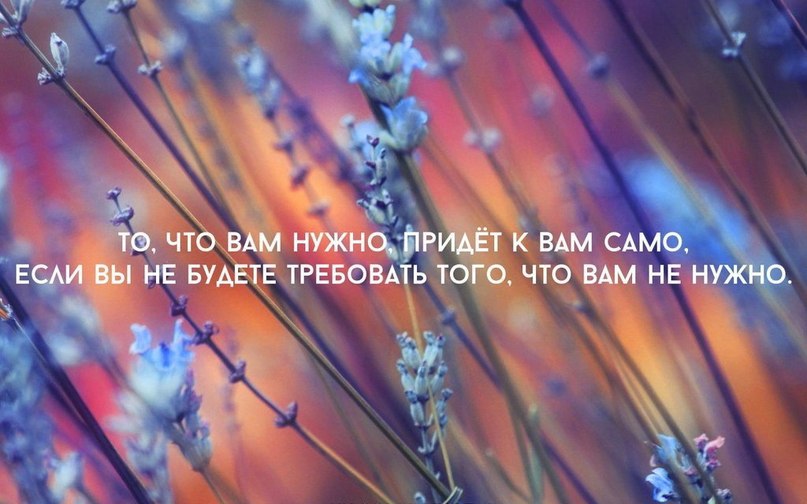 ���������� ��������� - 26 ����� 2015 � 16:03