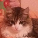 ��� ����� �� ������� ���� ����������