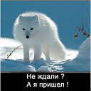 ���� ��� (���� 211), ���� - ��������� 21 ����� 2015 � ������ ���� ����������