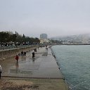  , , 60  -  1  2015   ,29.03.15.  