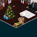 ���� �����, ������, 31 ��� - ��������� 11 ������ 2015 � ������ �Tropikania�