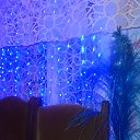 ���� ������, ���������, 37 ��� - ��������� 1 ������ 2015 � ������ ���� ����������