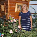 ���� ������, ����������, 73 ���� - ��������� 8 ������ 2015 � ������ ���� �������