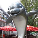 ���� �������, �������, 61 ��� - ��������� 25 ������� 2015 � ������ ���� ����������