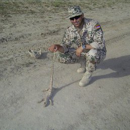 ���� ����, ������, 51 ��� - ��������� 7 ������ 2015