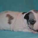 ���� ������, ������, 64 ���� - ��������� 8 ������ 2015 � ������ ������