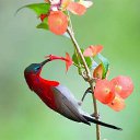 ���� �����, ��������� - ��������� 21 ������� 2015 � ������ ������ ��������