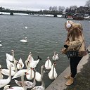 ���� ������( ������!!!), �����, 52 ���� - ��������� 3 ������� 2015 � ������ �������