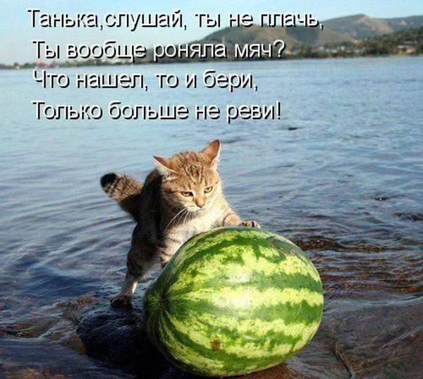       - 15  2015  17:31