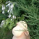  , , 58  -  25  2015     - 