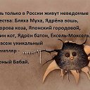 ���� �������, ������, 45 ��� - ��������� 1 ����� 2015 � ������ ������ ��������