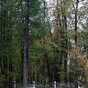 ���� ����, ������, 67 ��� - ��������� 20 ������� 2014 � ������ ���� ����������