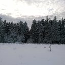 ���� Nattis, ������, 58 ��� - ��������� 9 ������� 2015 � ������ ������������ 4�4 - ���� ����� ��ѻ