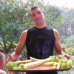 ���� ���������, ����, 38 ��� - ��������� 10 ������� 2015