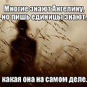 ���� ��������, ������ ��������, 55 ��� - ��������� 20 ������� 2014 � ������ ���� ����������