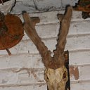 ���� ������, ������, 58 ��� - ��������� 22 ������� 2015 � ������ ���� �����