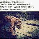 ���� ���������, ���������, 67 ��� - ��������� 13 ������� 2015 � ������ ������ ��������