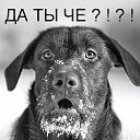 ���� ���������, ��������, 76 ��� - ��������� 5 ������� 2015 � ������ ������ ��������