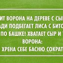 ���� ���������, ������ - ��������� 20 ������� 2014 � ������ ������ ��������