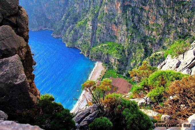   ,     ?      -  ... - 6