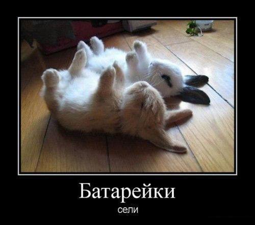 ��������������, ����������� ������. <a href=