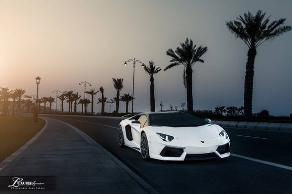 Lamborghini Aventador in Qatar. - 6