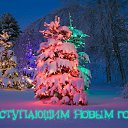 ���� ��������, �������������, 51 ��� - ��������� 16 ������� 2015 � ������ �������� ��������