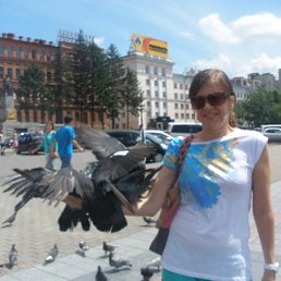 �������, �����-���������, 43 ����