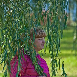 ���� �������, �����-��������� - ��������� 2 ������ 2015