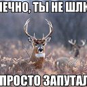 ���� ���������, ������-�������, 38 ��� - ��������� 12 ������ 2015 � ������ ������ ��������