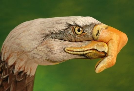   .    (Guido Daniele)   ... - 7