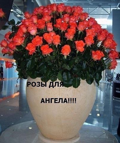    ...  ,    ...     -  ,   ...