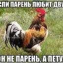 ���� �������, ������� - ��������� 18 ����� 2015 � ������ ������ ��������