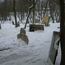 ���� �����, ���������, 49 ��� - ��������� 27 ������� 2014 � ������ ���������