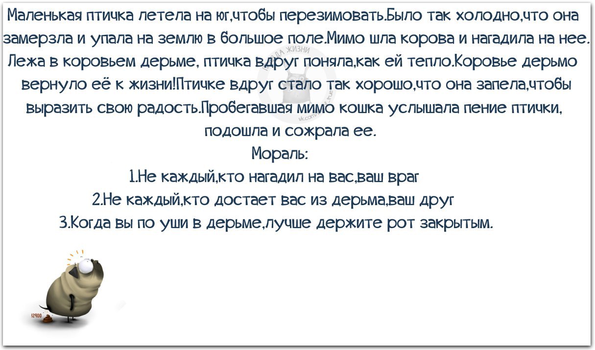   - 6  2015  18:15