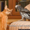 ���� ������, ��������������� - ��������� 13 ������ 2015 � ������ ������