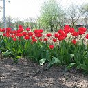 ���� Suhov5205496, �����, 51 ��� - ��������� 11 ������� 2015 � ������ ���� ����������