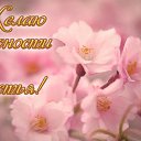 ���� ����, ������-��-���� - ��������� 6 ������� 2015 � ������ ���������������� �������� - ������� � ���������!�