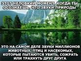 ���� ***�***, ����������� - ��������� 11 ����� 2015 � ������ ������ ��������