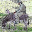 ���� ���������, ������, 56 ��� - ��������� 29 ������� 2014