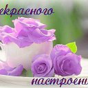 ���� �����, ����-�����������, 51 ��� - ��������� 25 ������� 2015 � ������ ����������� ��� ��������
