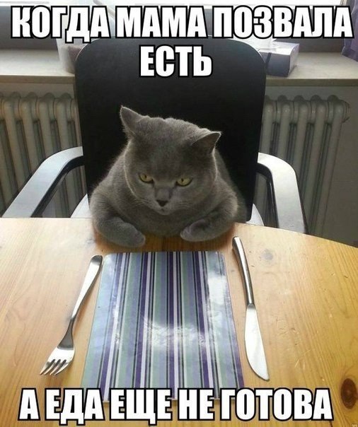 ���������� ����� https://fotostrana.ru/away?to=/sl/KE2