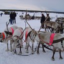 ���� ����, ������ - ��������� 13 ������� 2014 � ������ ���� ����������